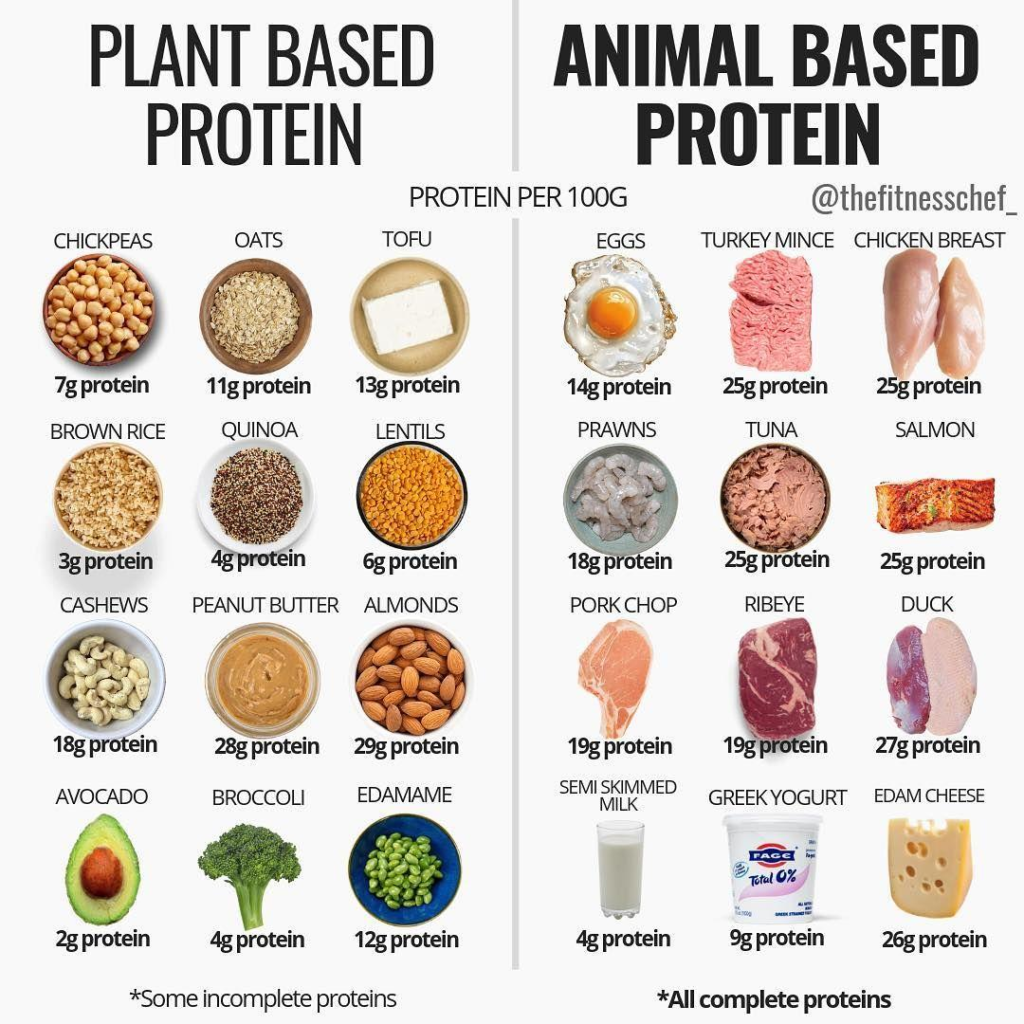 Plant VS Animal high Protein foods